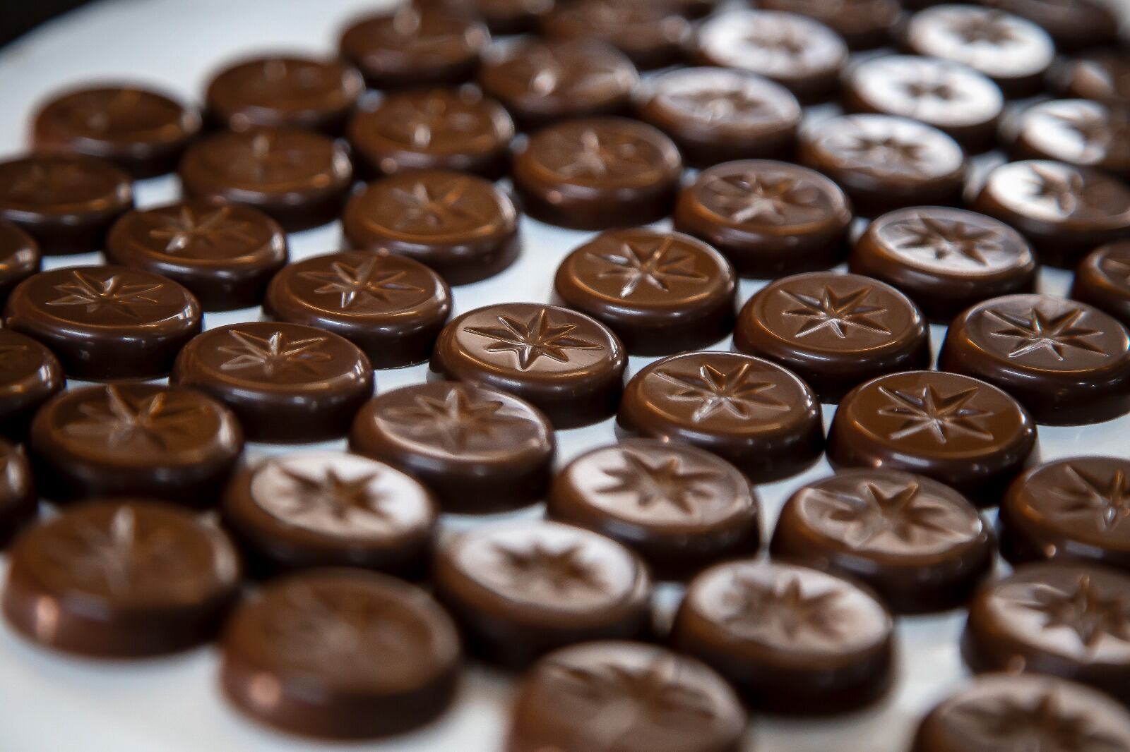 Chocolates. (Foto: Difusión)