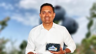 Agrovision recauda US$100 millones para expandir negocio de superfrutas: ¿a qué países?