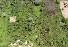 Amazonía con mayor demanda internacional, pero pierde oportunidades por altos costos logísticos