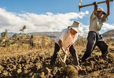 Reservorios de agua en Perú, así afecta su bajo almacenamiento a los cultivos