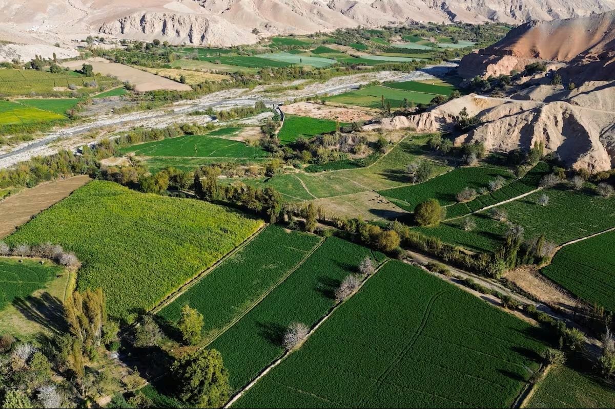 La reactivación de Majes Siguas II es considerada clave para el desarrollo agroindustrial y la generación de empleo en el sur del país. Foto: Andina.