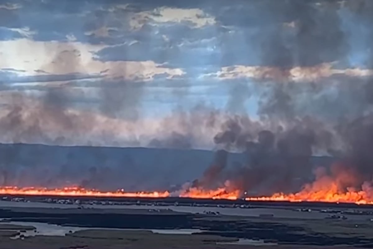 Incendio en los totorales alarmó a las familias que habitan en esas zonas. Foto: Captura de video/Canal N