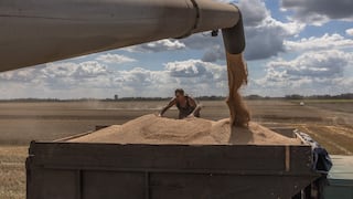 La reanudación de las exportaciones de grano ucraniano, una cuestión estratégica