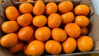 Mandarinas peruanas: Gamma Fruit apunta a Europa y Asia en medio de alza de fertilizantes