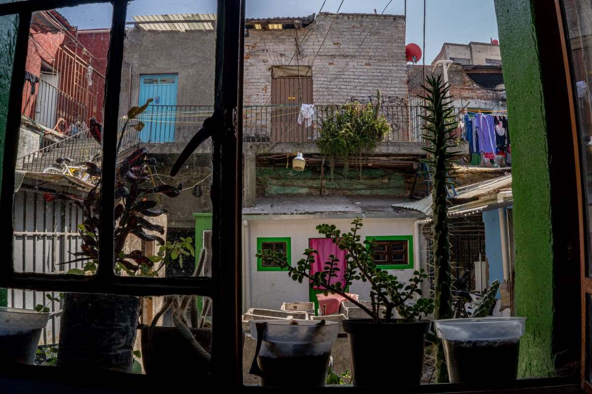Plants line the window of a vecindad apartment in Mexico City, Mexico, on Friday, Nov. 5, 2021. The grandiose vecindades were originally inhabited by European aristocracy, but their central courtyards later turned into spaces for communal living.