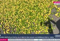 Productores arrojan toneladas de limón en carreteras como protesta por precios bajos