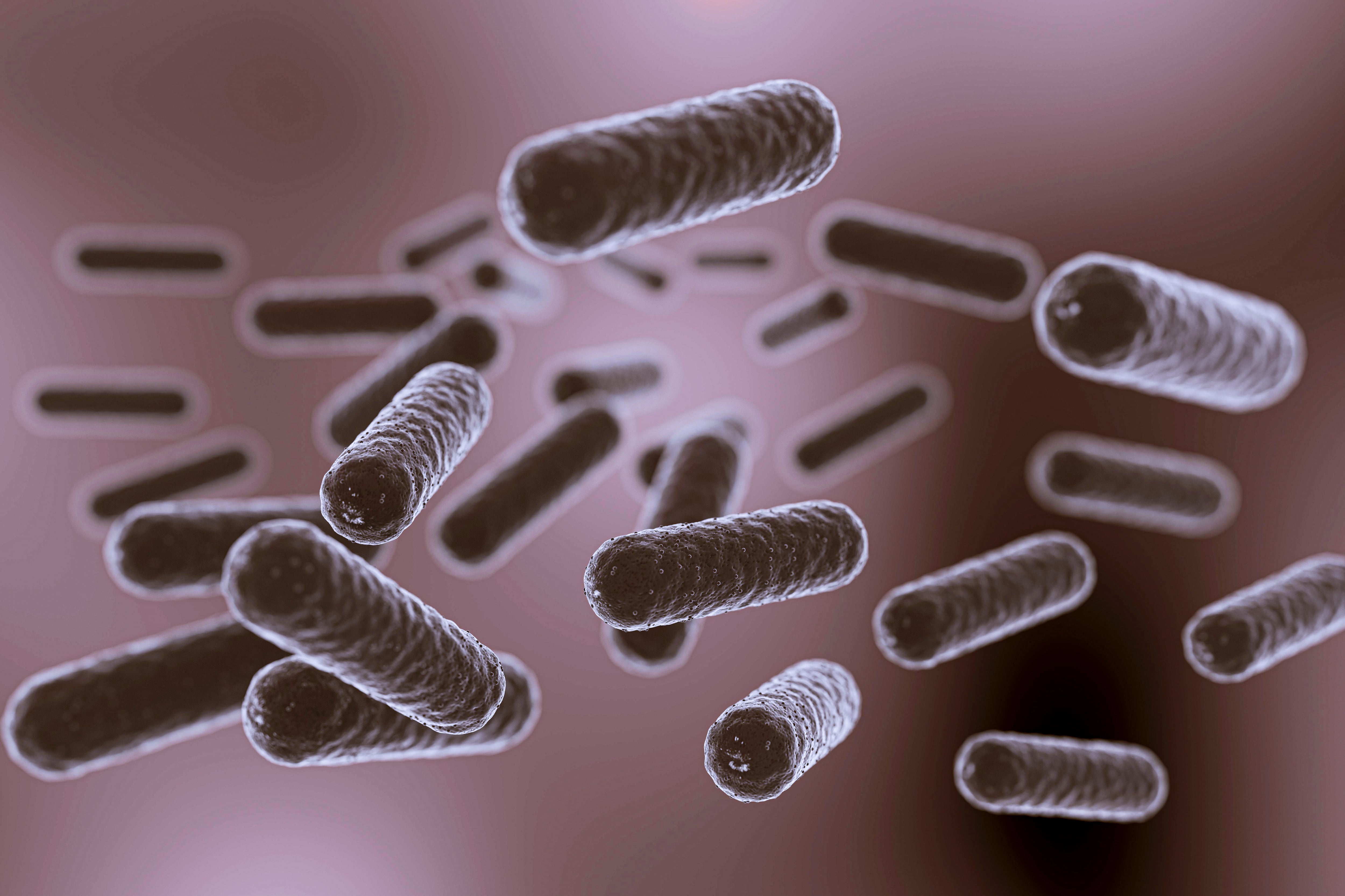 Atención, bacteria "come carne" genera alerta en Florida: cuándo puede ser mortal y cómo protegerse