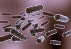 Atención, bacteria "come carne" genera alerta en Florida: cuándo puede ser mortal y cómo protegerse