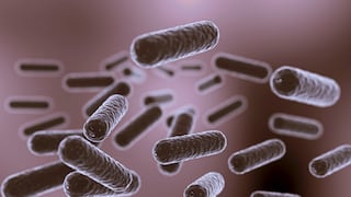 Atención, bacteria "come carne" genera alerta en Florida: cuándo puede ser mortal y cómo protegerse