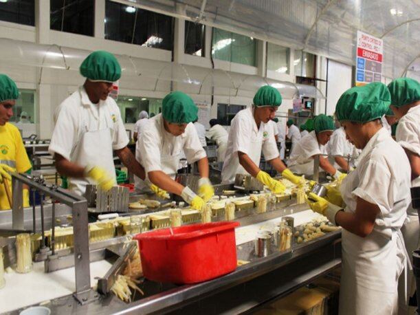 Empleo pisa el acelerador: alcanzó su mejor resultado en agosto. (Foto: Andina)