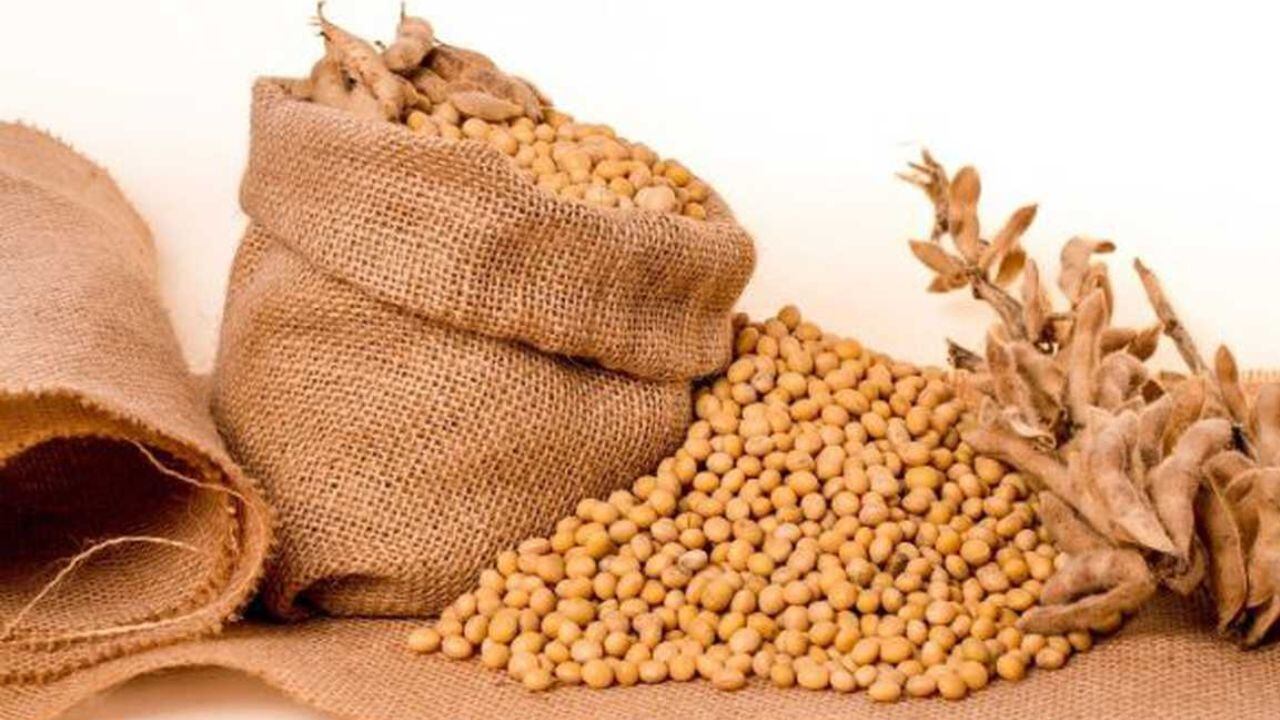 La soya es un producto clave para la industria avícola y ganadera del país.
