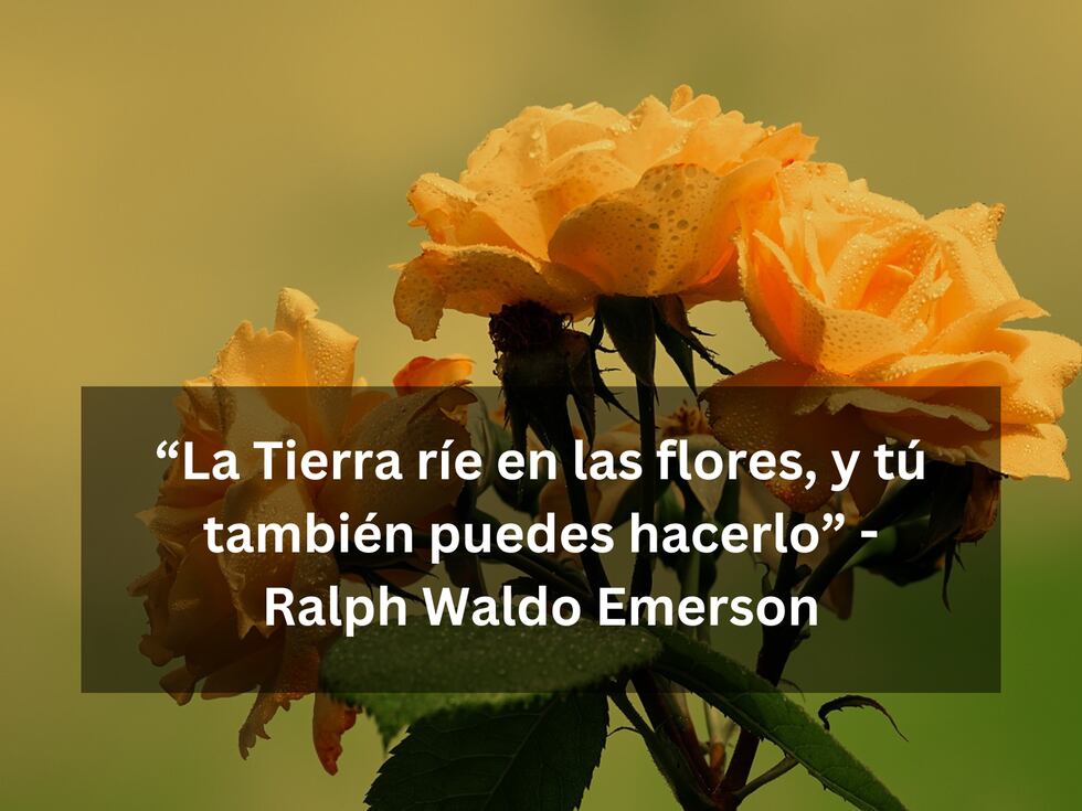 “La Tierra ríe en las flores, y tú también puedes hacerlo” - Ralph Waldo Emerson | Imagen de Ilo en Pixabay / Composición Mix