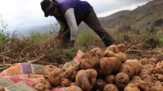 Gremio exige al Gobierno nombrar un ministro de Agricultura que ayude a enfrentar crisis alimentaria