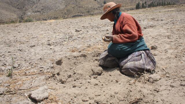 Oxfam advierte de una “profunda crisis” en la agricultura familiar en Perú