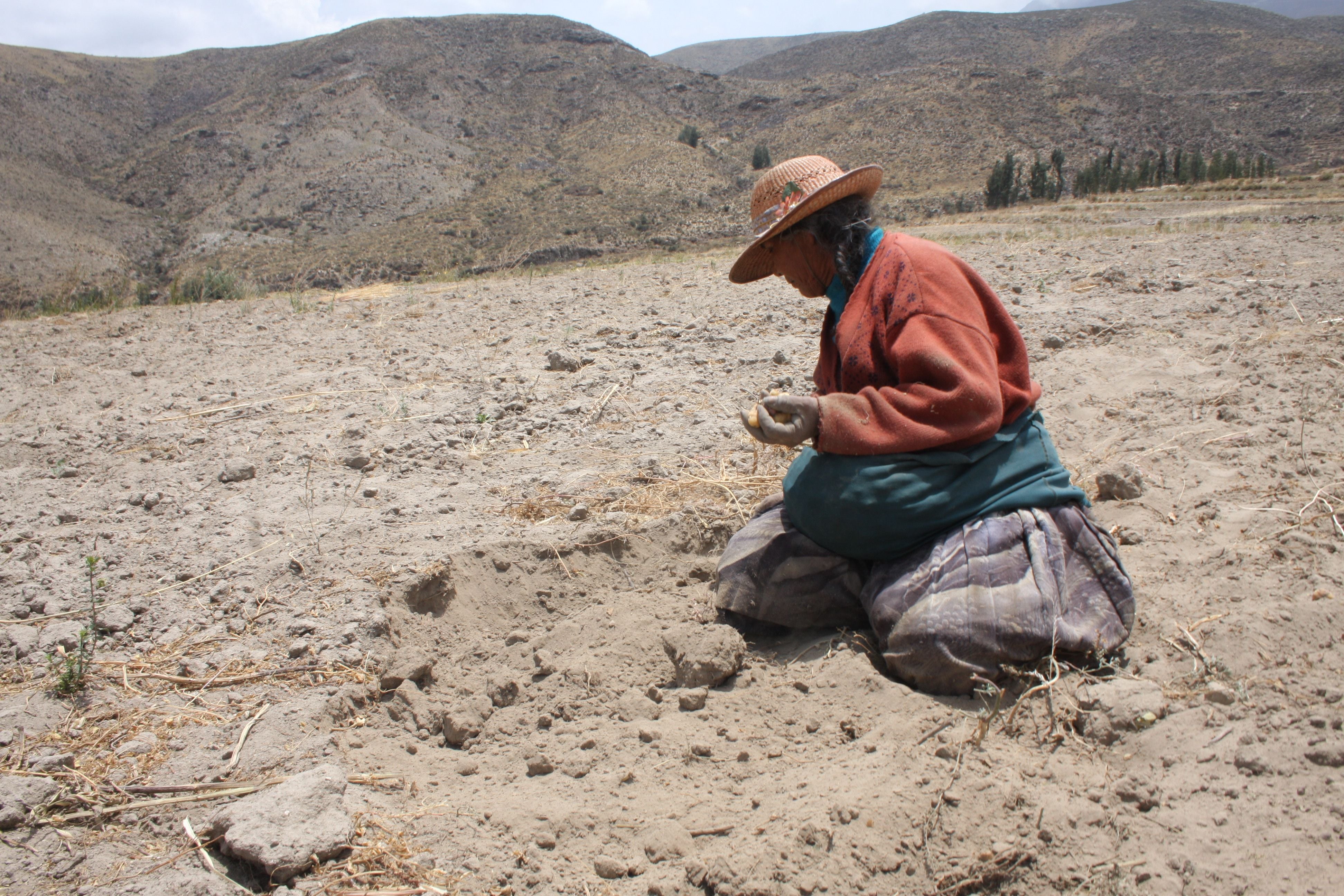 Desde 2020, agricultores familiares han padecido las sucesivas crisis en el país que devinieron en un preocupante aumento de la pobreza, revela Oxfam. (Foto: Minam)