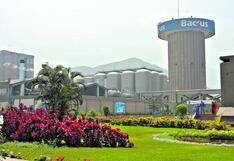 Backus incrementó ingresos un 10% por estrategia de precios