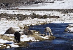 Descenso de la temperatura nocturna en la sierra se presentaría del 2 al 4 de julio