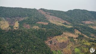 Amazonía colombiana sometida a una “agresiva deforestación” por fuerzas disidentes de las FARC