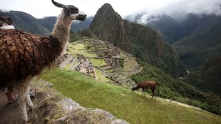 ¿Cuáles fueron los destinos preferidos por los viajeros peruanos este verano? 