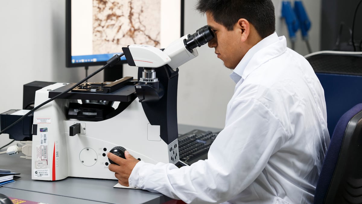 Concytec abre postulaciones para el Premio Nacional de Ciencia 2026: todos los detalles