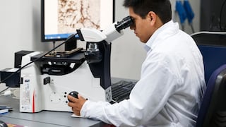Concytec abre postulaciones para el Premio Nacional de Ciencia 2026: todos los detalles