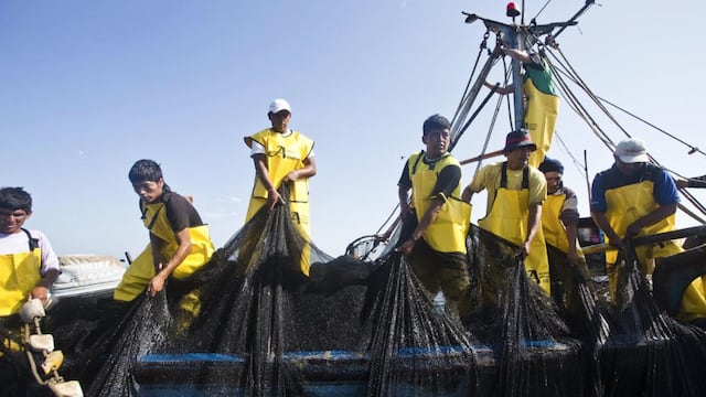 Trabajadores pesqueros podrán disponer del 90% de los depósitos de su CTS hasta junio de 2020