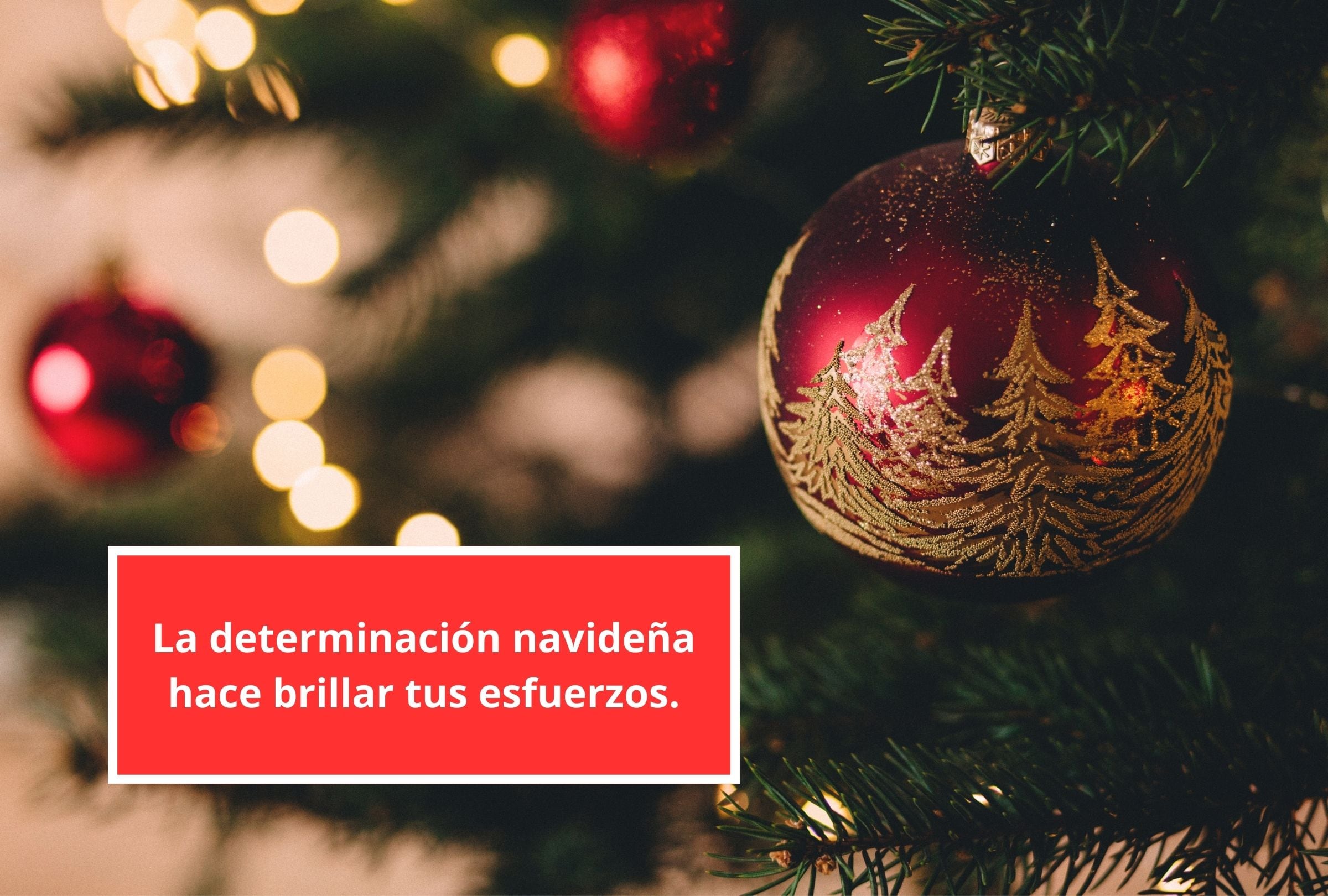 La determinación navideña hace brillar tus esfuerzos. (Foto: Composición Gestión Mix)