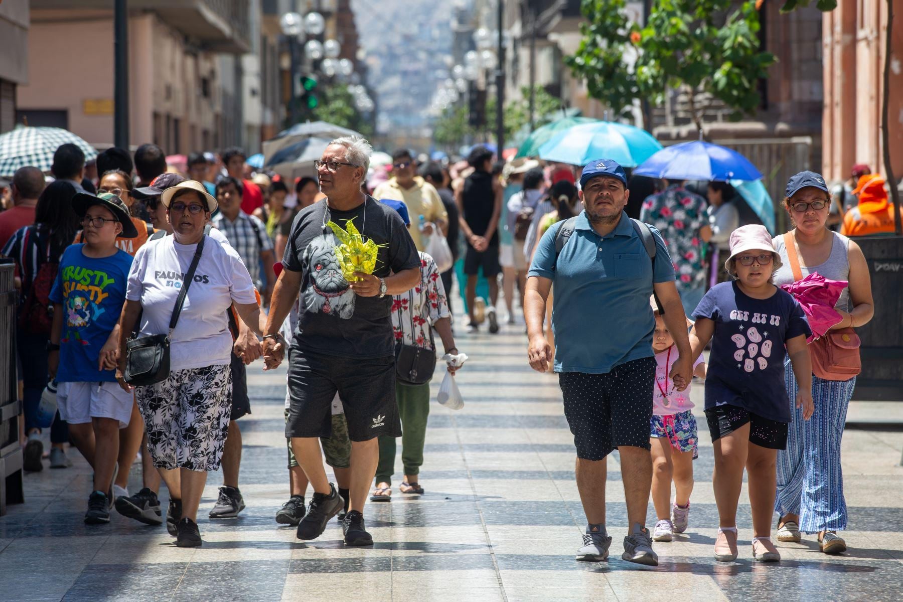 El Niño Costero continuaría hasta mediados de otoño de 2027, por lo pronto, con la más alta probabilidad de una magnitud extraordinaria de setiembre 2026 a enero de 2027. . (Fuente: Andina)