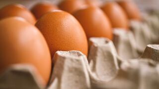 Producción de huevos del sur del país disminuyó en 15% a falta de soya por bloqueos