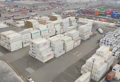 De la agroexportación a los autos importados: la estrategia de DP World Logistics para crecer
