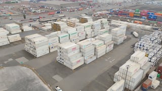 De la agroexportación a los autos importados: la estrategia de DP World Logistics para crecer