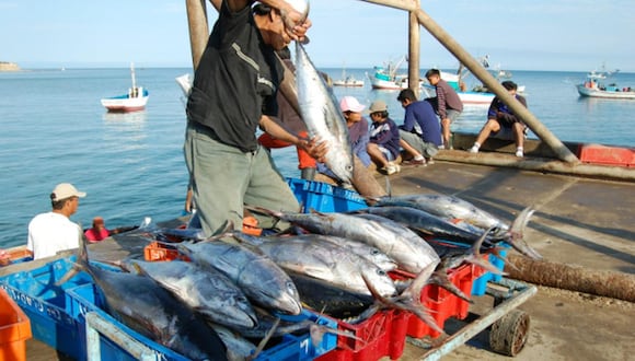2 de noviembre del 2018. Hace 5 años. Se pagará hasta 400% más por nuevos derechos de pesca.