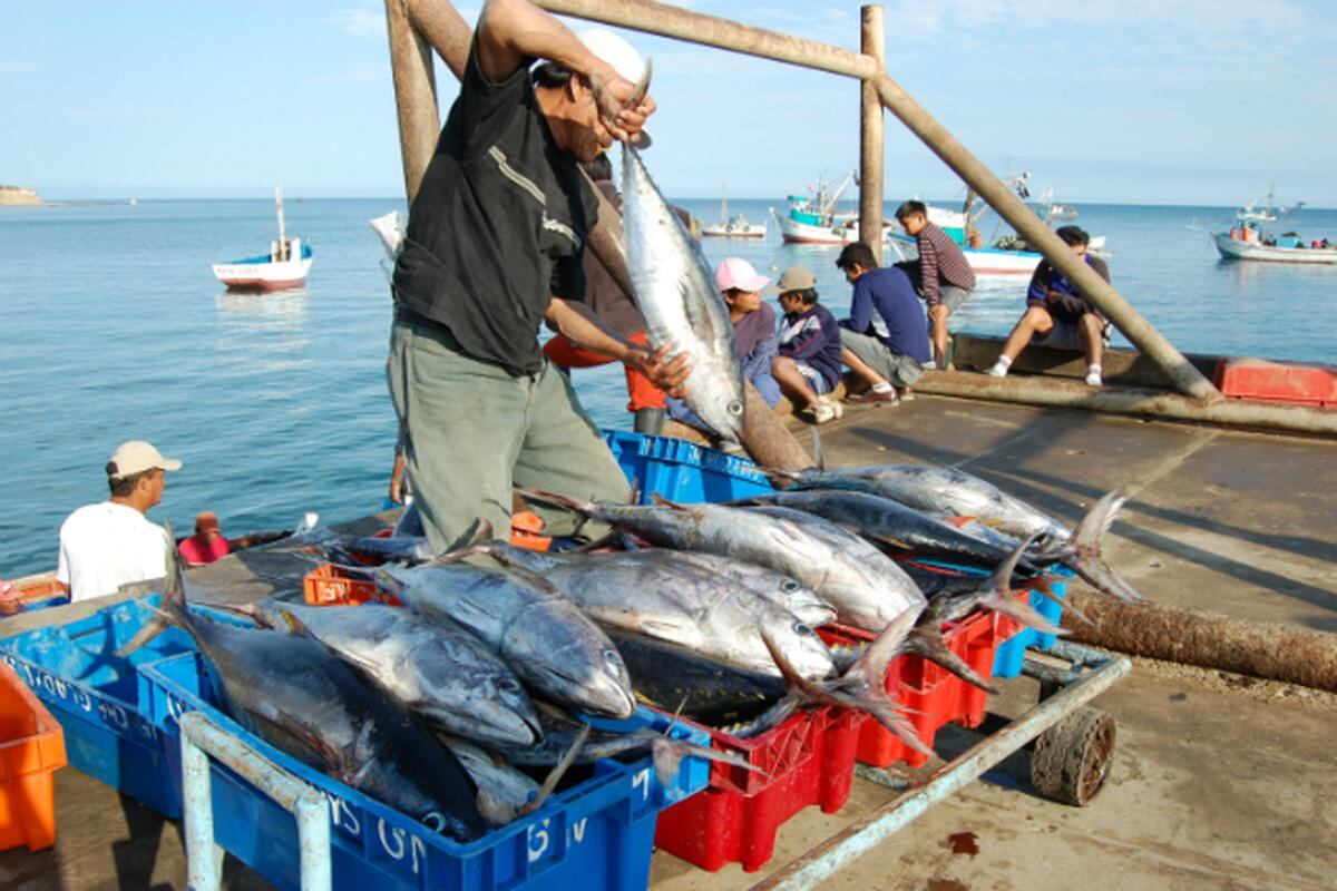 2 de noviembre del 2018. Hace 5 años. Se pagará hasta 400% más por nuevos derechos de pesca.