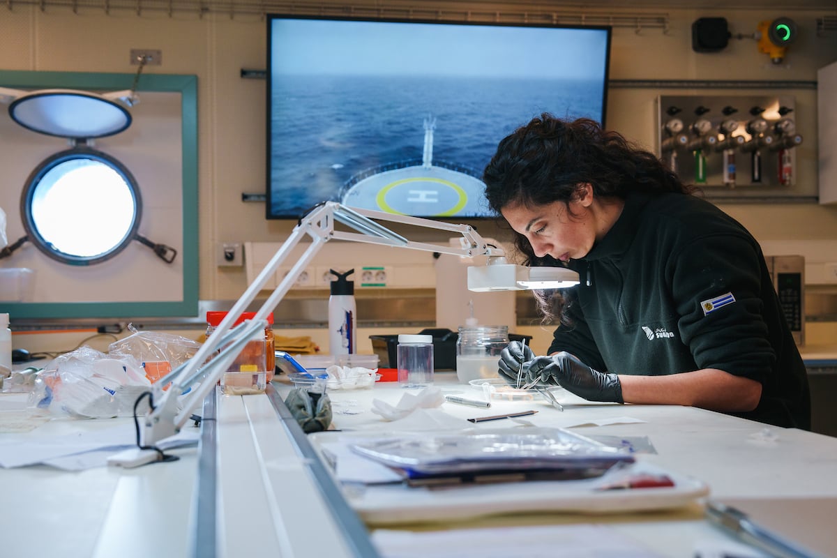 La inversión en equipamiento académico gana protagonismo en las universidades, impulsada por procesos de acreditación y mayores exigencias en calidad educativa. Foto: Andina