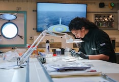 Casi US$ 2 millones en equipamiento de universidades: ¿qué facultades concentran el gasto?