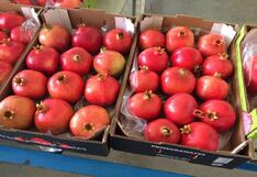 Perú gestiona acceso de granadas y cítricos a Tailandia