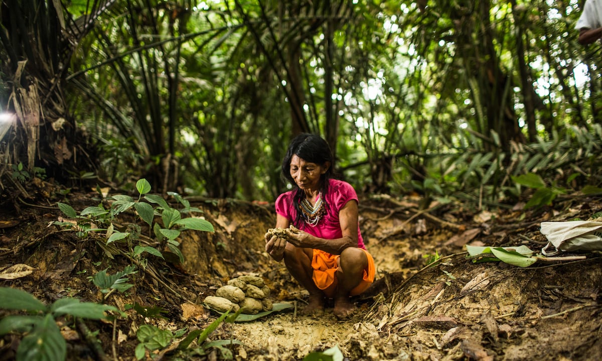 La entidad, en los primeros 8 meses del año, otorgó 94 créditos a 25 organizaciones de productores y cuatro comunidades campesinas. (Foto: Leslie Searles)