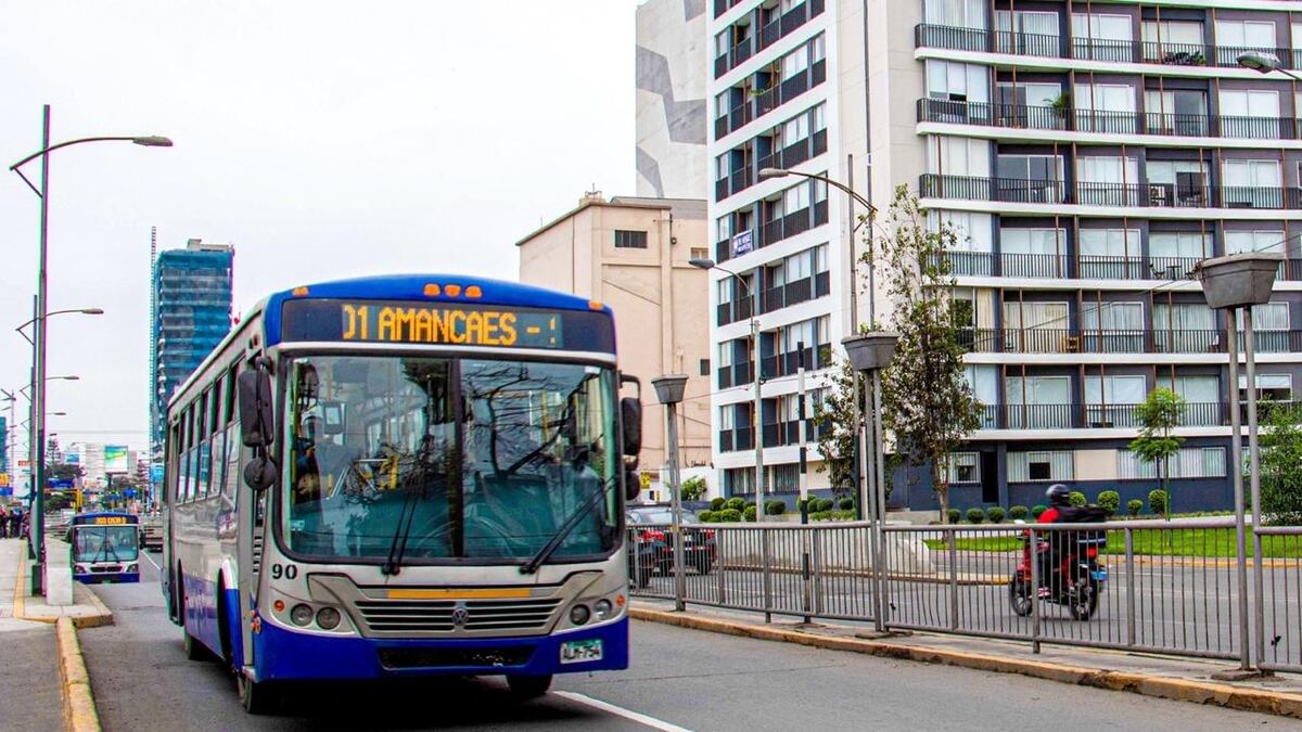 Corredor Azul: alistan plan piloto carril bus bidireccional en la avenida Arequipa