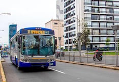 Carril bus bidireccional en la avenida Arequipa para el Corredor Azul: iniciarán plan piloto