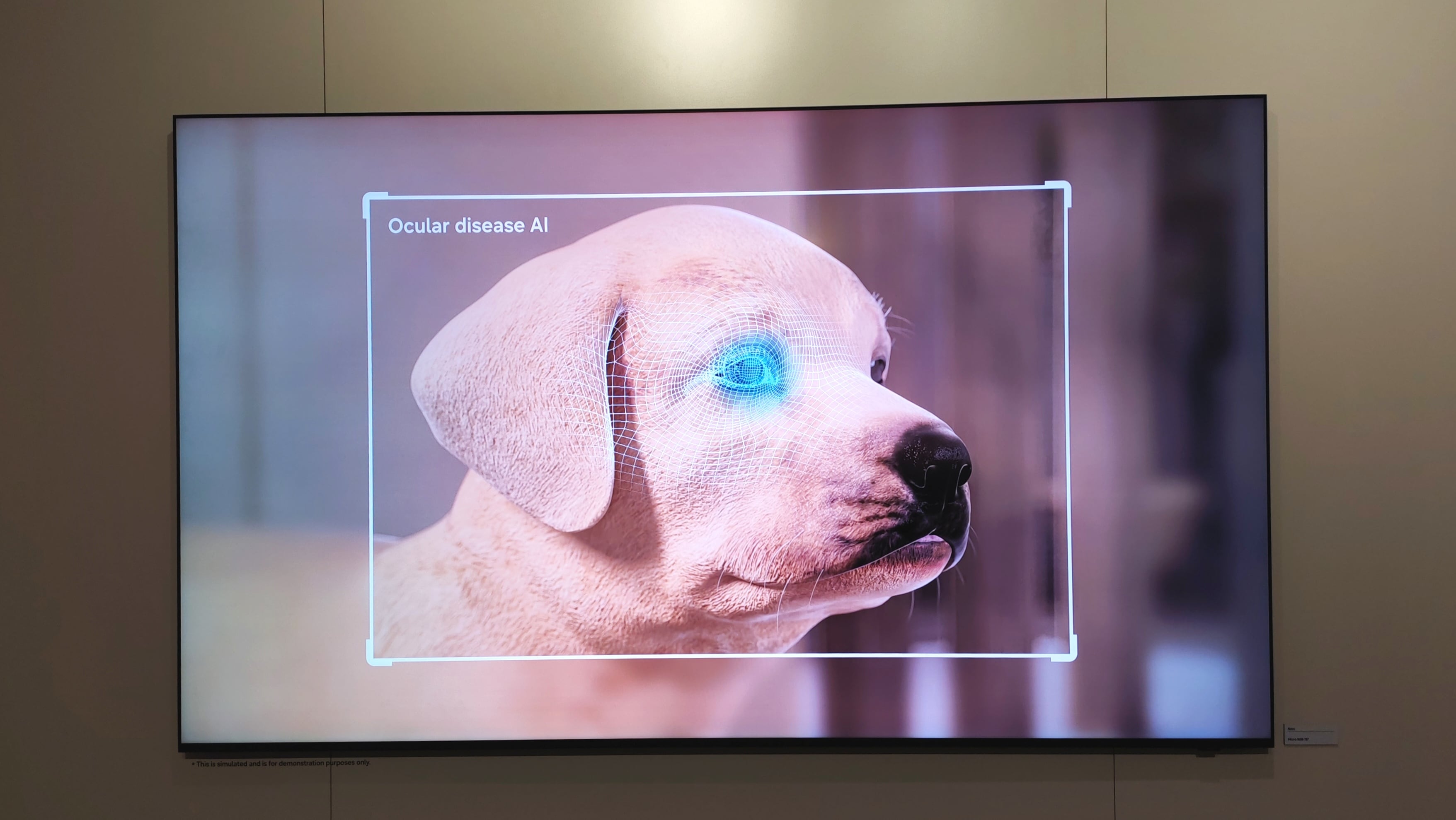 CES 2026: First Look de Samsung - Foto Mía Ríos