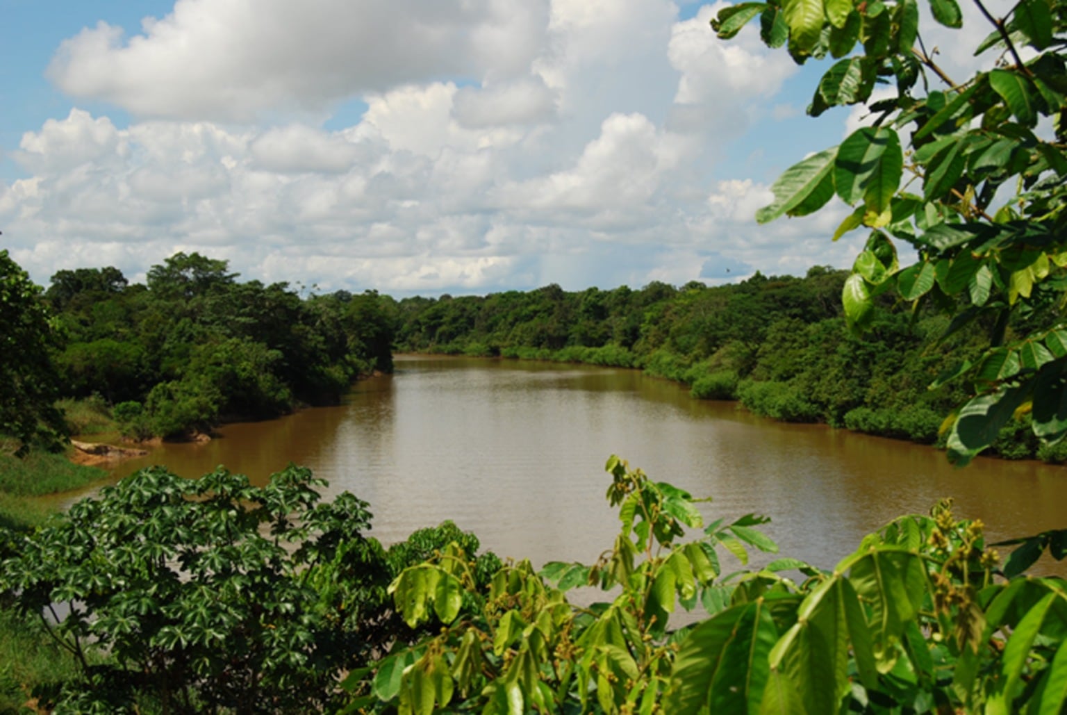 Paisaje en la cuenca del Ampiyacu, distrito de Pebas, en Loreto. Foto: Cortesía IBC
