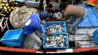 Las exportaciones pesqueras crecerían 22% este año