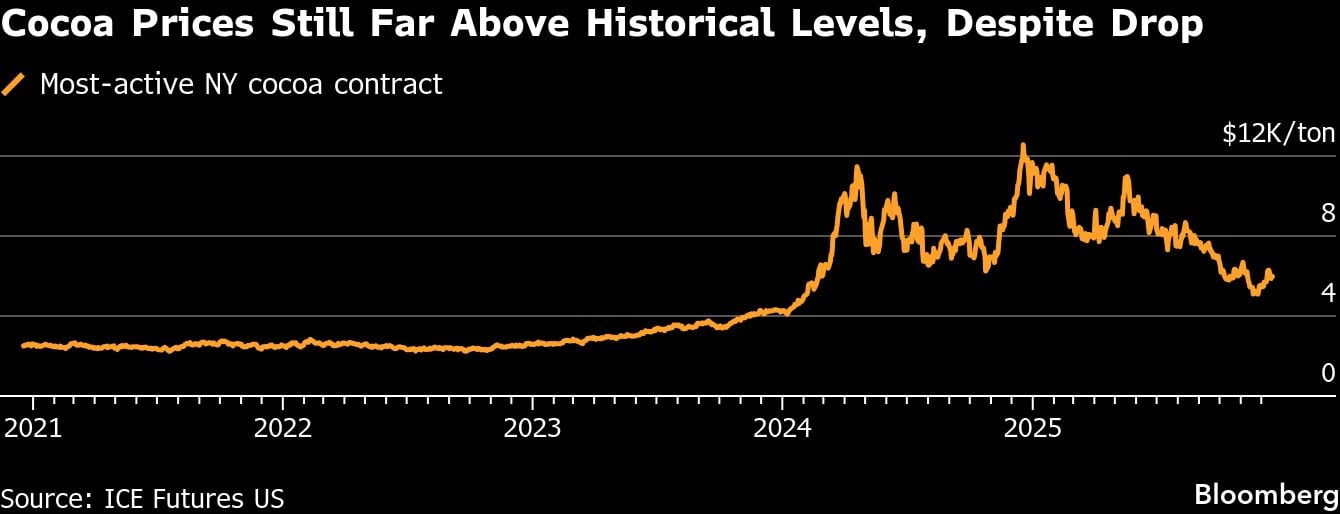 Los precios del cacao siguen muy por encima de los niveles históricos, a pesar de la caída
