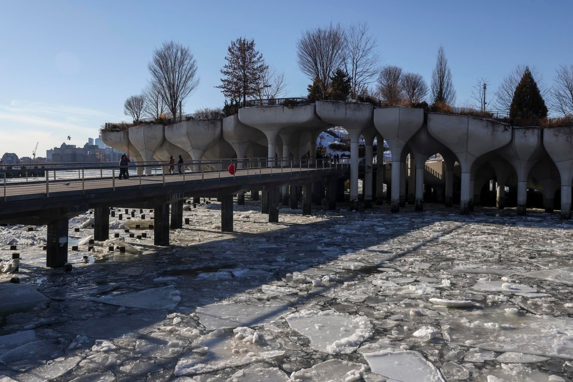 El Servicio Meteorológico Nacional emitió alertas por frío extremo para más de 43 millones de personas en grandes ciudades del noreste. (Foto: EFE / EPA / SARAH YENESEL)