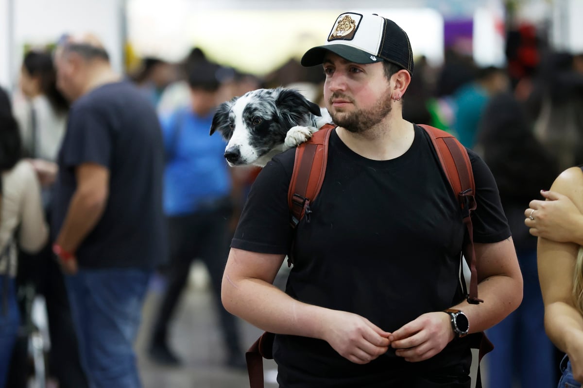 Fotografía del 30 de mayo de 2026 que muestra a un hombre cargando a un perro, durante la 'Expo Mascotas & Animales', en Santiago (Chile). Mientras la natalidad en Chile cae a mínimos históricos y se reducen las maternidades en algunos hospitales, las mascotas ganan terreno y la industria de los animales domésticos experimenta un crecimiento explosivo en el país con la tasa de fecundidad más baja de Latinoamérica. EFE/ Elvis González