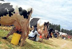 Indecopi ofrece recomendaciones para promover la competencia en el sector lácteo