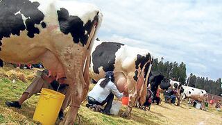 Indecopi ofrece recomendaciones para promover la competencia en el sector lácteo