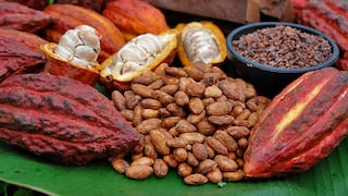 Productores de cacao buscan más exportación vía rueda de negocios