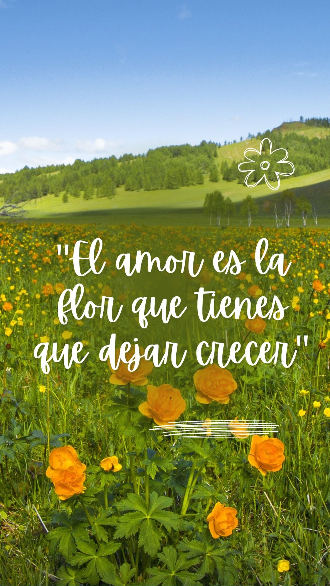 Este sábado 21 de marzo inicia la primavera en México y Estados Unidos, una fecha donde muchas personas regalarán flores amarillas a sus parejas (Foto: Canva.com)