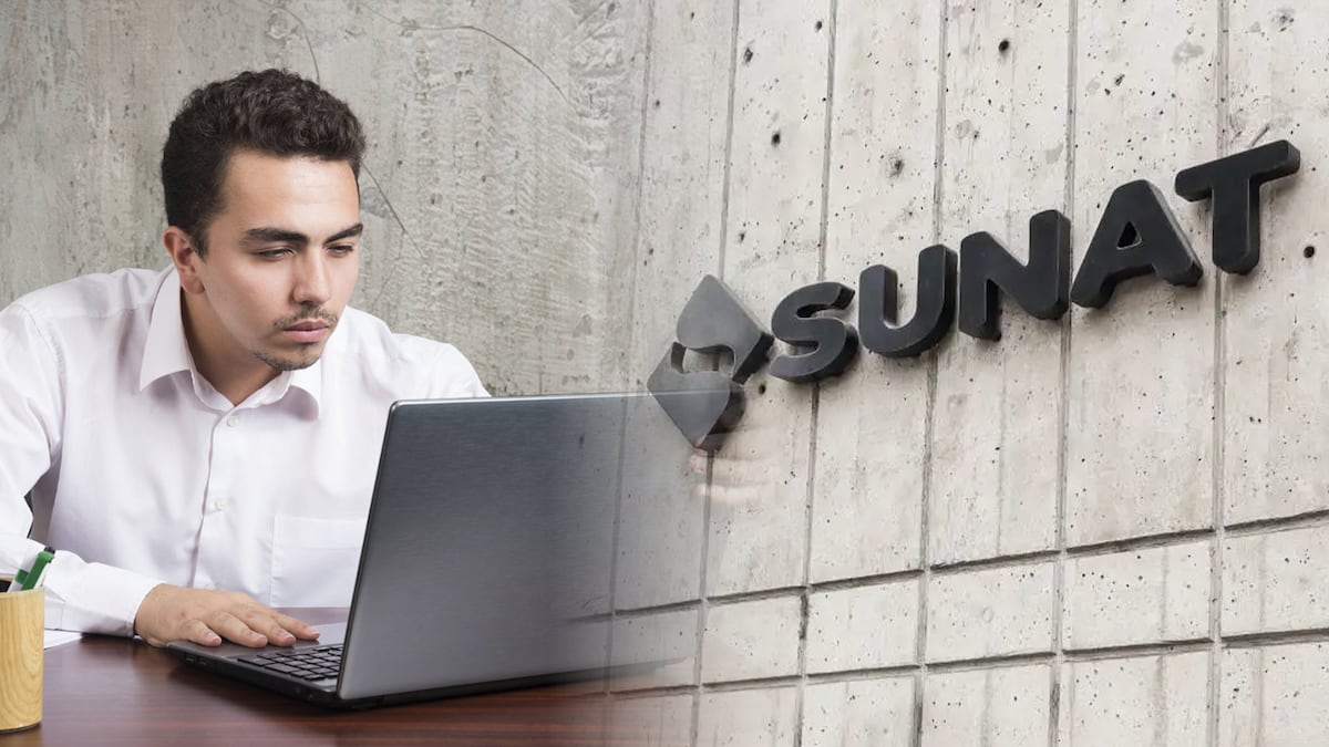 Sunat puede pedir pruebas sobre el destino de compras de las empresas, ¿cuál es el límite?